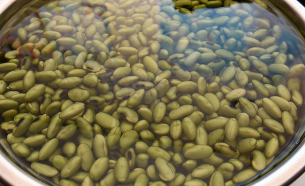水に浸した大豆